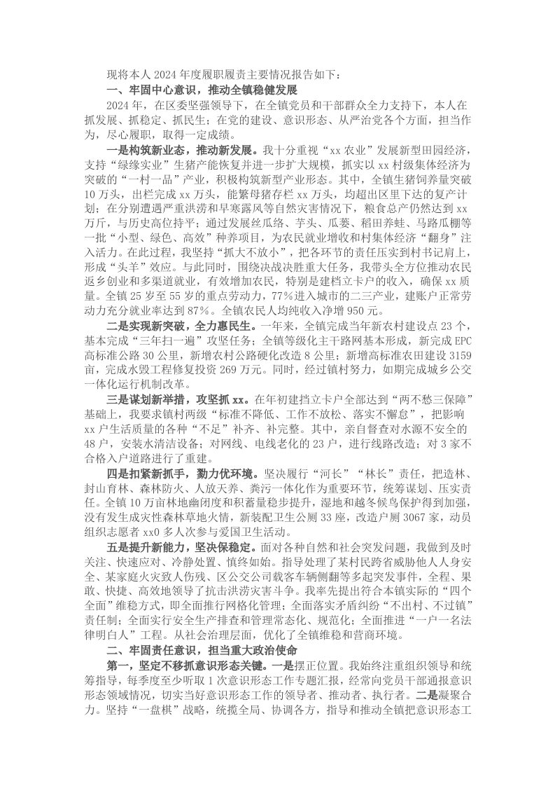 2024年度乡镇党委书记述职述责报告 - 新网知识库-新网知识库
