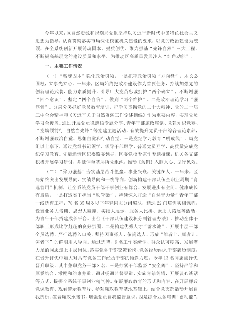 区自然资源和规划局党组2024年抓基层党建工作述职报告 - 新网知识库-新网知识库