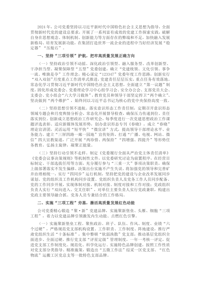 某国企党委2024年抓基层党建工作述职报告 - 新网知识库-新网知识库