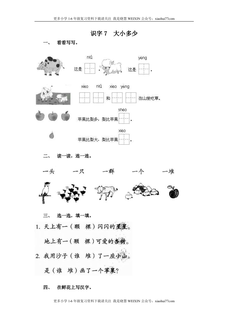 部编版-一年级上册上学期一课一练习题-语文课时练：大小多少 - 新网知识库-新网知识库