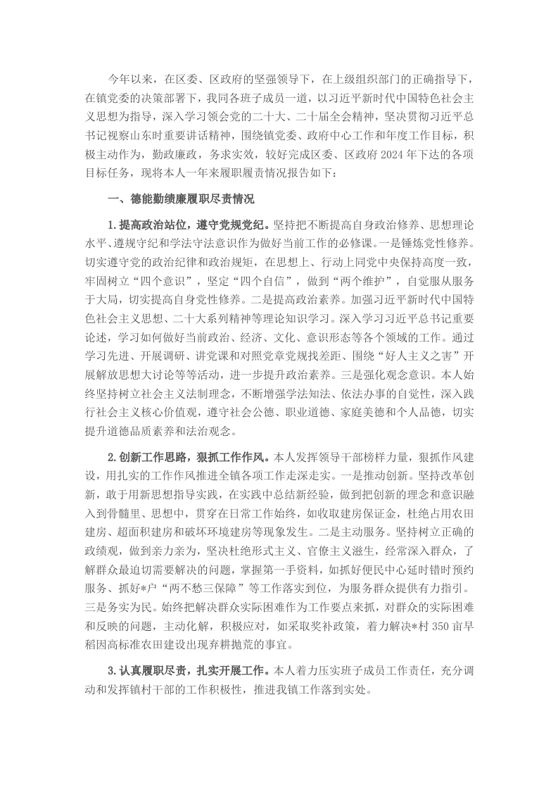 镇长2024年度述职述责报告 - 新网知识库-新网知识库